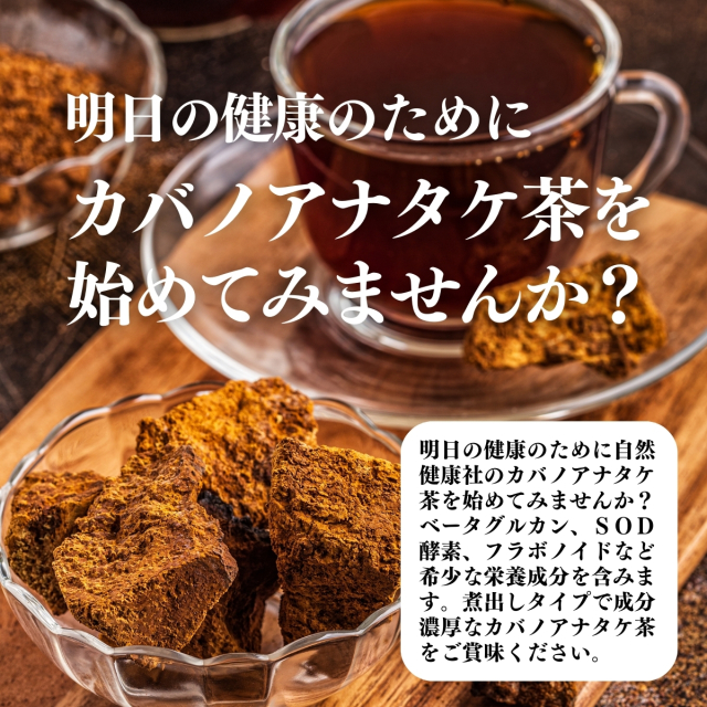 自然健康社 カバノアナタケ茶32パック