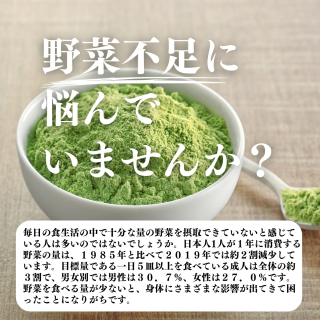 自然健康社 明日葉粉末1kg