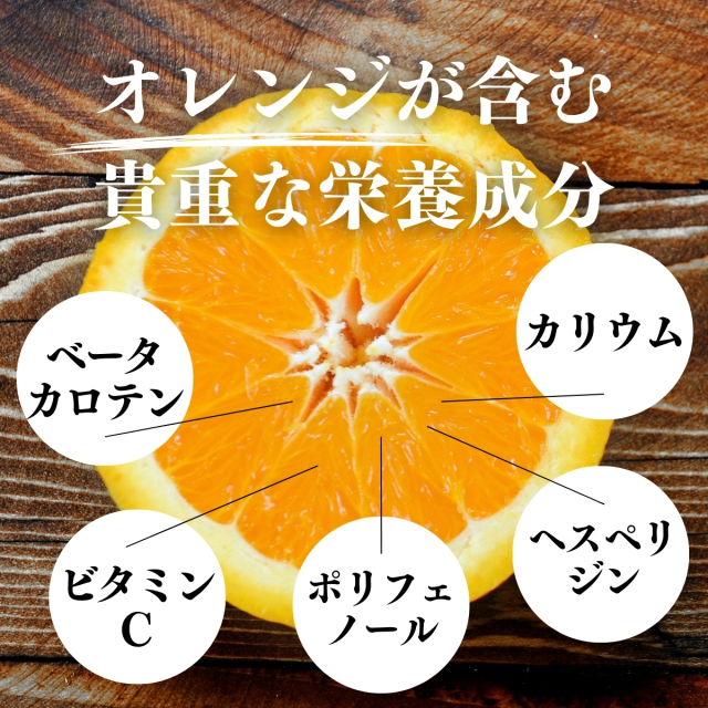 自然健康社 オレンジパウダー500g