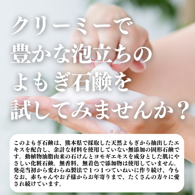 地の塩社 よもぎ石鹸4個