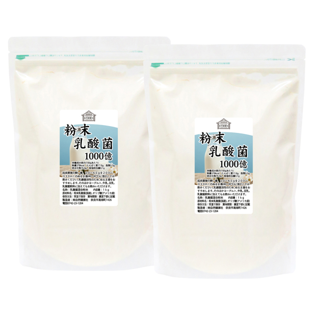 自然健康社 粉末乳酸菌２ｋｇ