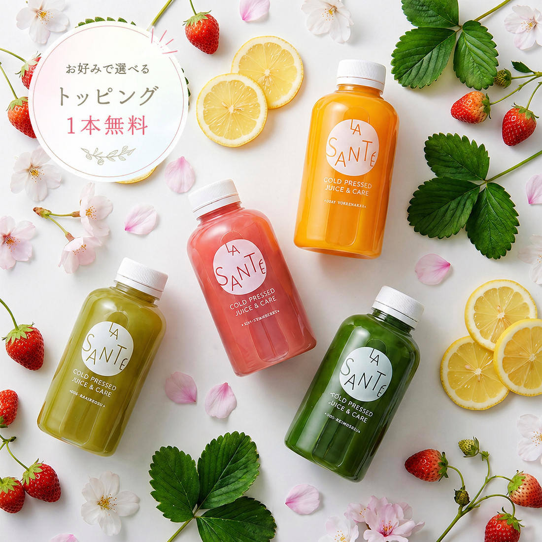【限定発売】【5%OFF】春の集中リフレッシュ・セット【冷蔵ボトル400g×6本】