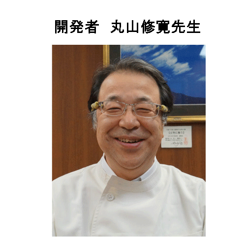 地磁気パット Gaiga（ガイガ） （楽天市場】丸山式ガイア