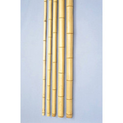 銘竹　晒竹（真竹） 湯抜き　6.5尺×0.4寸　1本