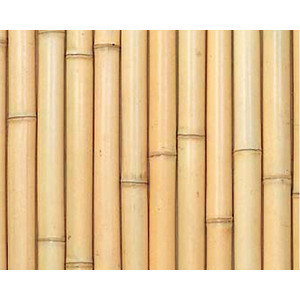 銘竹ボード 晒竹丸竹貼 タテ貼　3×6尺