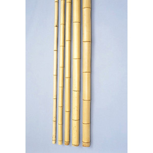 銘竹　晒竹（真竹） 湯抜き　6.5尺×0.6寸　1本