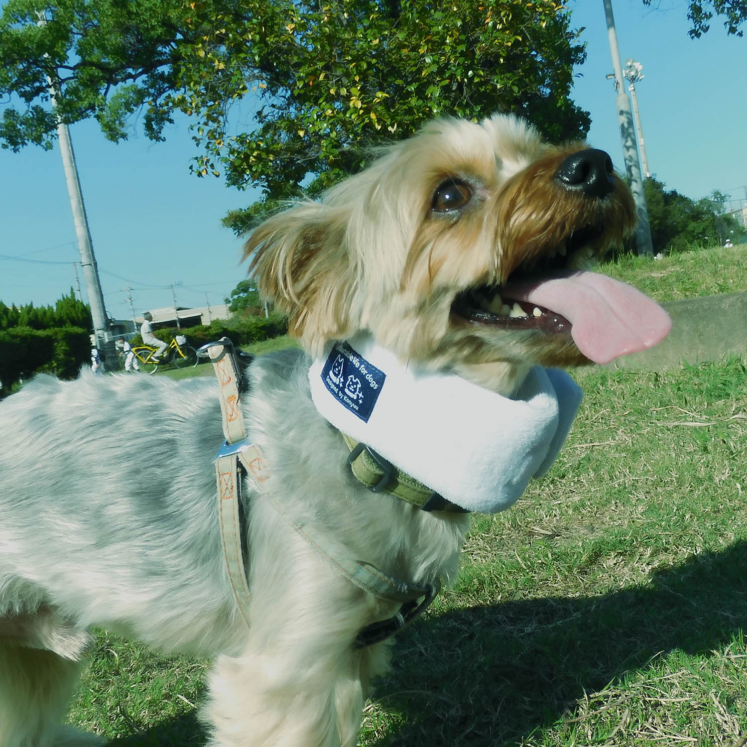 ネックールわんこ　小型犬用