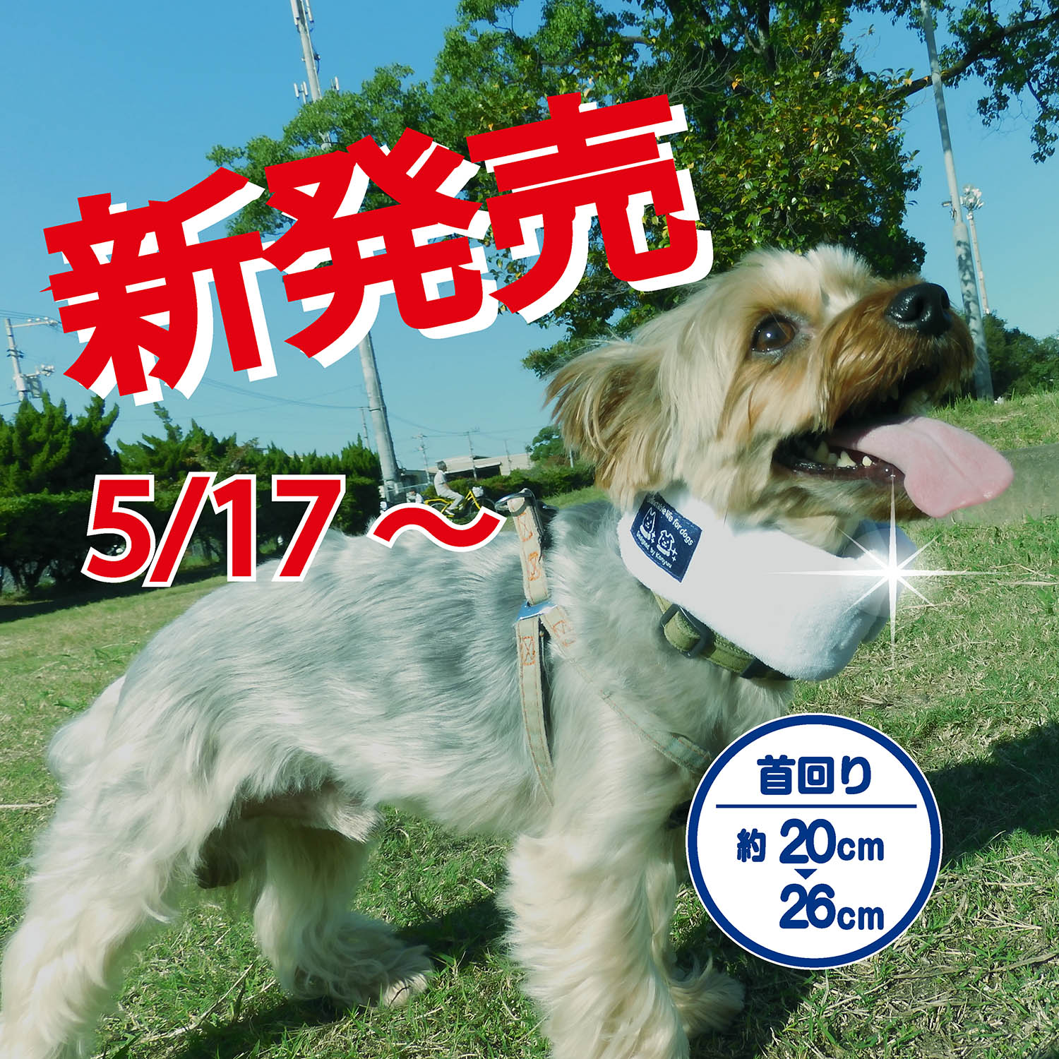 ネックールわんこ　小型犬用