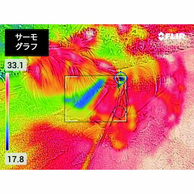 小型犬用】ネックールわんこ｜やさしく冷やす犬用冷却バンド・夏のお