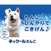 ネックールわんこ　中型犬用