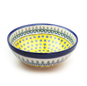 大鉢φ20cm-