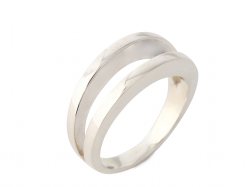 ﾌｫｰｸﾄﾞﾘﾝｸﾞ 立った状態