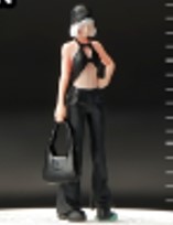 収蔵家 1/64 へそ出し女子（シルバーヘア）バック取り外し可能