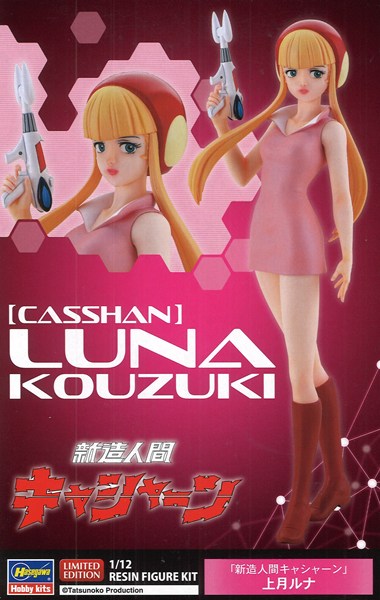 ハセガワ レジン製 フィギュアキット 1/12 リアルフィギュア
