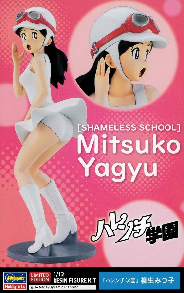 ハセガワ レジンキット 1/12 新造人間キャシャーン 上月ルナ