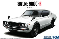 AO20493.jpg