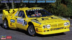 HASEGAWA20806.jpg