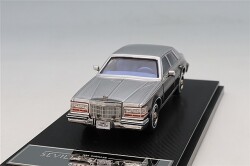 SS60101.jpg