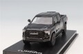 CM64-Tundra-04.jpg