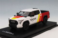 CM64-Tundra-05.jpg