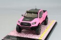 FS-DTG0019PINK.jpg