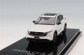 HJ641093W.jpg