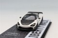 T64-106-WH.jpg