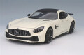 WE24081W.jpg