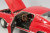 ACM-A1801808-6.jpg