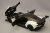 Aa70261_5.jpg