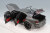 Aa71756_5.jpg