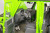 Aa76315_5.jpg