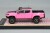 FS-DTG0019PINK_2.jpg