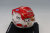 LSHEL026_3.jpg