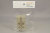 PLU-WH04.jpg