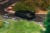 T64G-042-GY_5.jpg