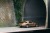 T64G-085-PM-B_4.jpg