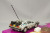 WE22443W50_4.jpg