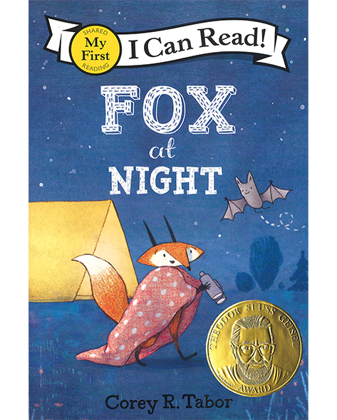 ICR 0: FOX AT NIGHT