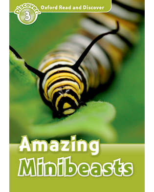 AMAZING MINIBEASTS (ORD 3)