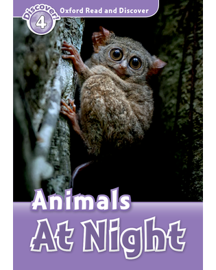 ANIMALS AT NIGHT (ORD 4)