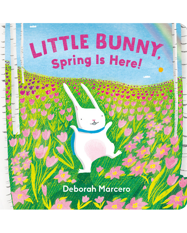 LITTLE BUNNY, SPRING IS HERE!