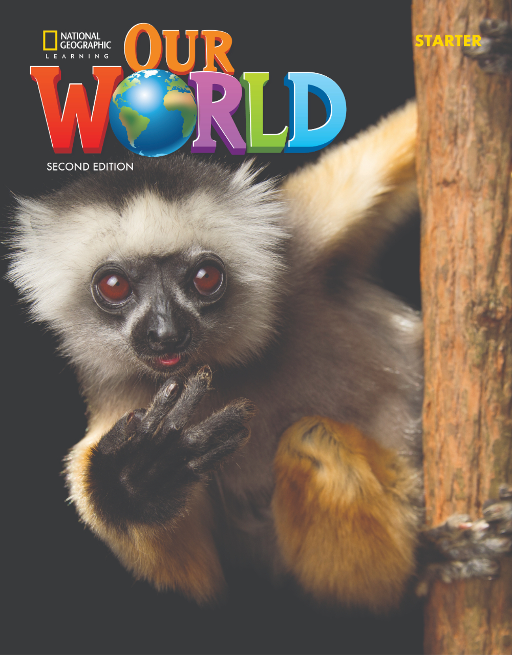 OUR WORLD 2/E 4: Work Book