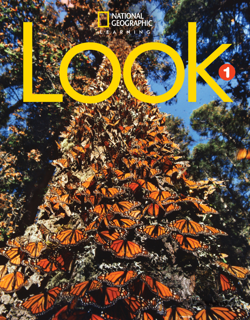 LOOK Starter: Picture Cards