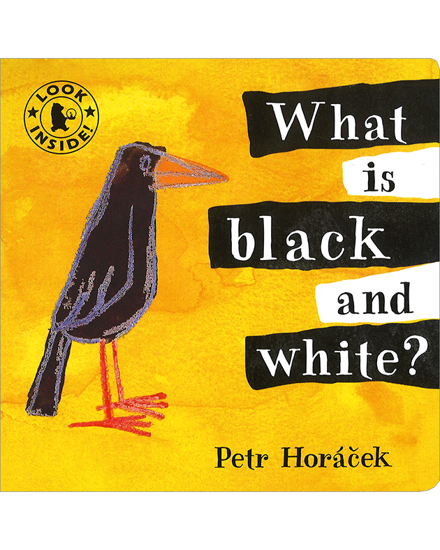 WHAT IS BLACK AND WHITE?(BOARD)