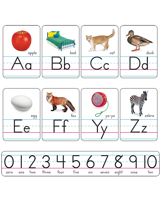 PHOTO ALPHABET CARDS BULLETIN BOARD (721