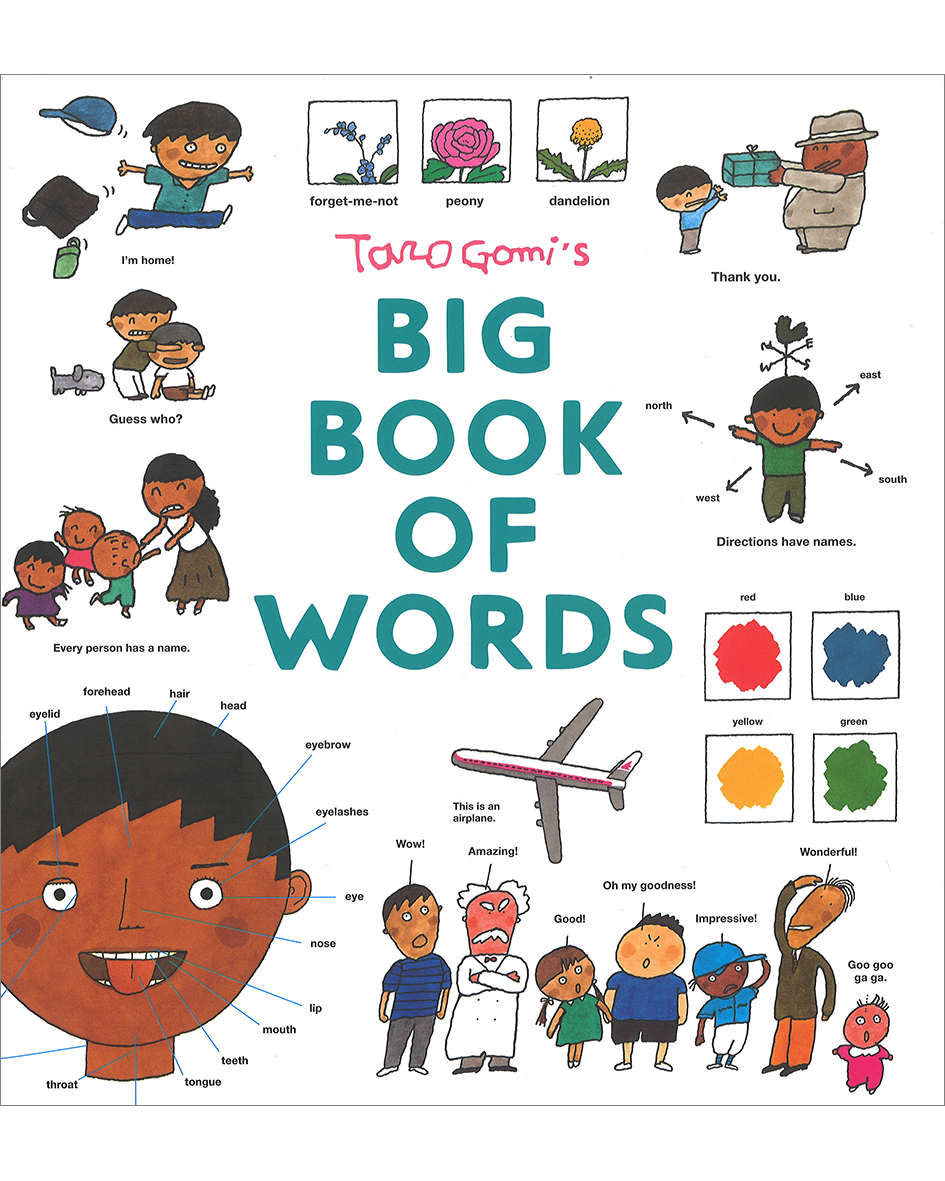 TARO GOMI'S BIG BOOK OF WORDS(HB)