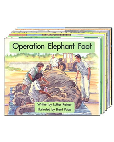 APRICOT SPRING BOARD PACK 09