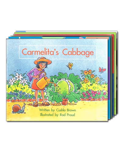 APRICOT SPRING BOARD PACK 12