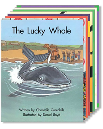 APRICOT SPRING BOARD PACK 15